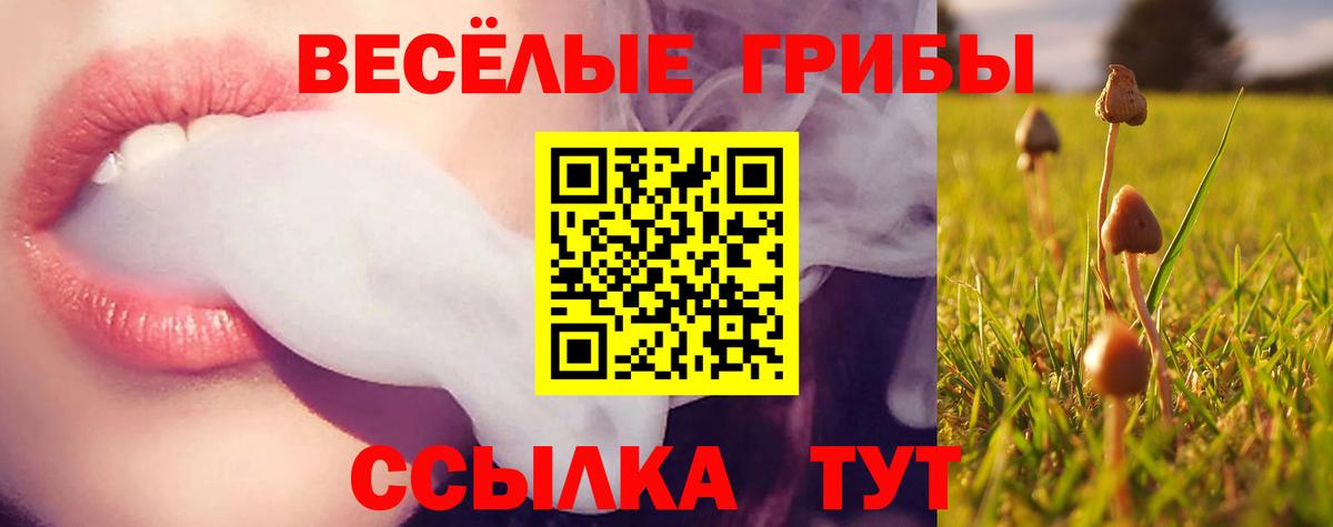 Псилоцибиновые грибы Cubensis  Вход с VPN  Димитровград  Галлюциногенные грибы Psilocybine cubensis 