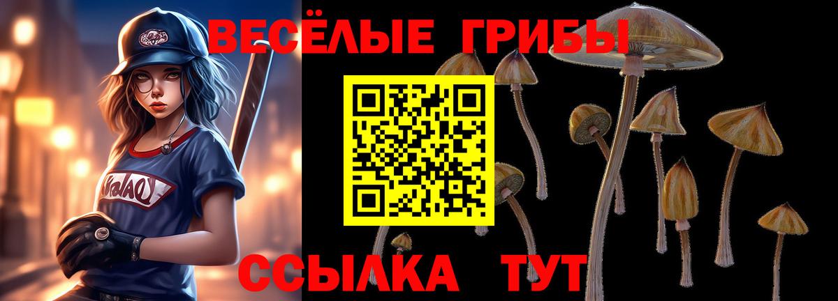 Псилоцибиновые грибы Magic Shrooms Димитровград